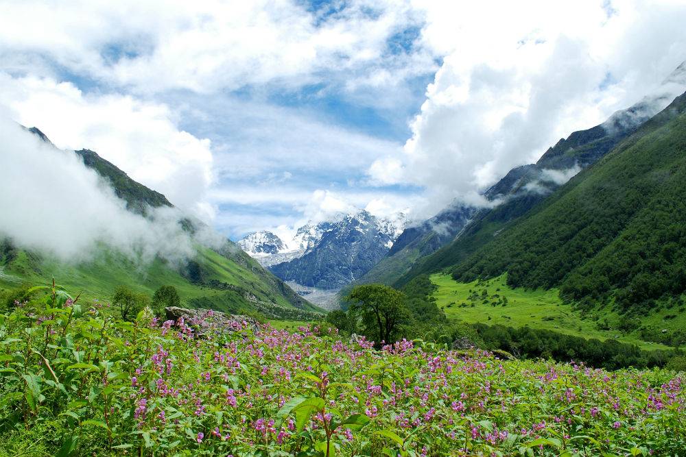 valley-of-flowers, Places to visit in india in july