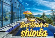 New Year Packages In Shimla