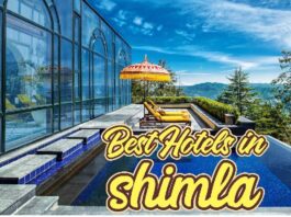 New Year Packages In Shimla