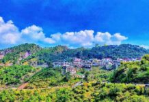New Year Party Packages In Kasauli Hotels
