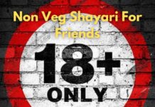 Non Veg Shayari For Friends