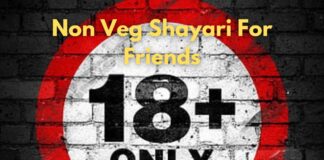 Non Veg Shayari For Friends