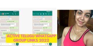 Active Telugu WhatsApp Group Links 2022
