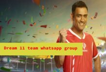 dream11 team whatsapp group