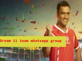 dream11 team whatsapp group
