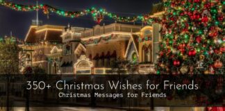 350+ Christmas Wishes for Friends | Christmas Messages for Friends