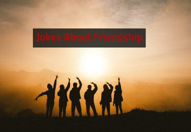 Jokes About Friendship