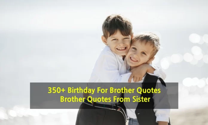 350+ Birthday For Brother Quotes | Brother Quotes From Sister