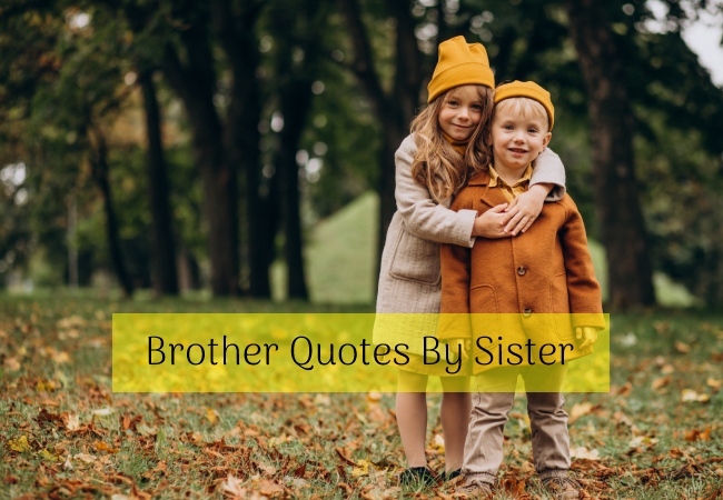 Brother Quotes By Sister