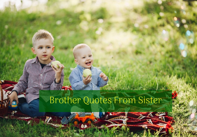 Brother Quotes From Sister