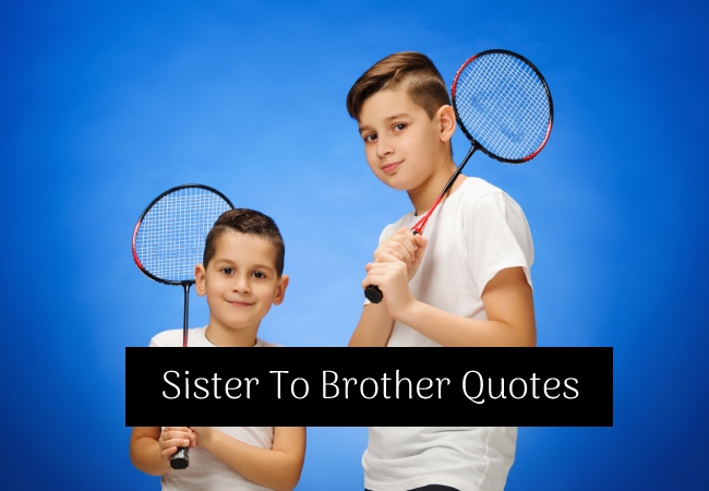 Sister To Brother Quotes