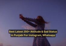Best Latest 250+ Attitude & Sad Status in Punjabi For Instagram, Whatsapp