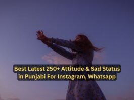 Best Latest 250+ Attitude & Sad Status in Punjabi For Instagram, Whatsapp