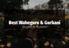 Best Waheguru & Gurbani Quotes in Punjabi