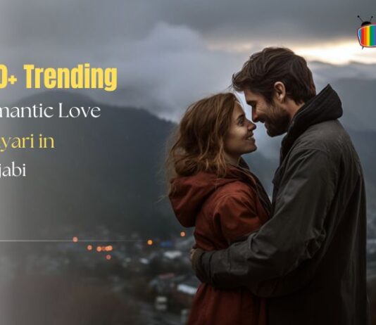 250+ Trending Romantic Love Shayari in Punjabi